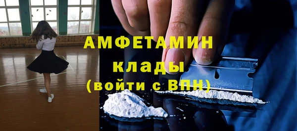 мет Алексин