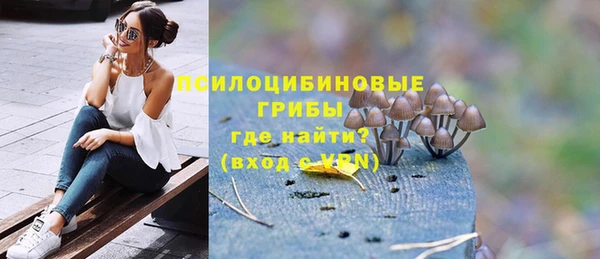 мет Алексин