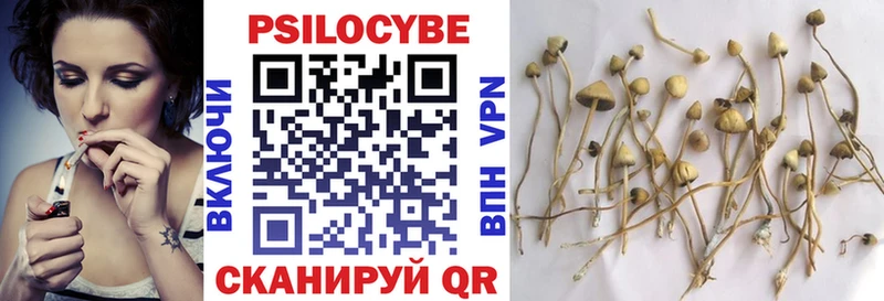 Галлюциногенные грибы Psilocybe kraken зеркало Мензелинск